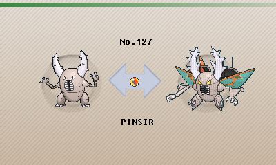 pinsir evolution chart|pinsir serebii.